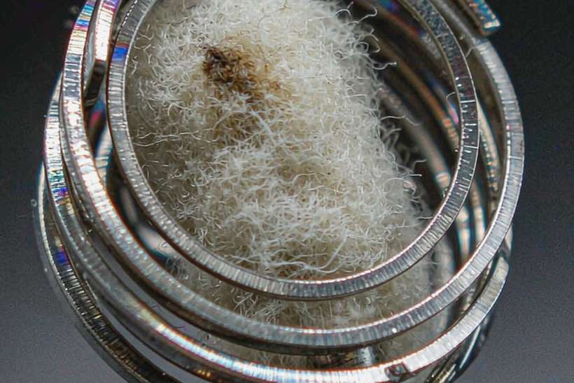 Bulk Distribution for Vapowanie disposables — US warehouse