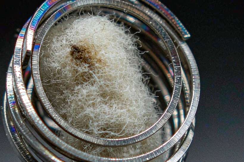 Buyer's Guide to Vapowanie pods — Middle East
