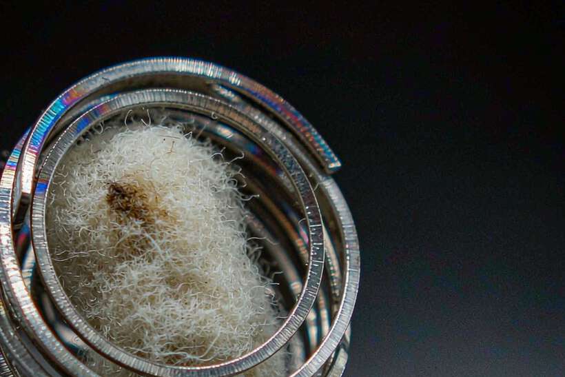Comparison of Vapowanie coils Suppliers — bulk case