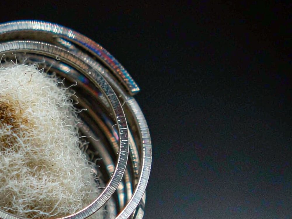 Flavor Catalog of Vapowanie kits — 2026