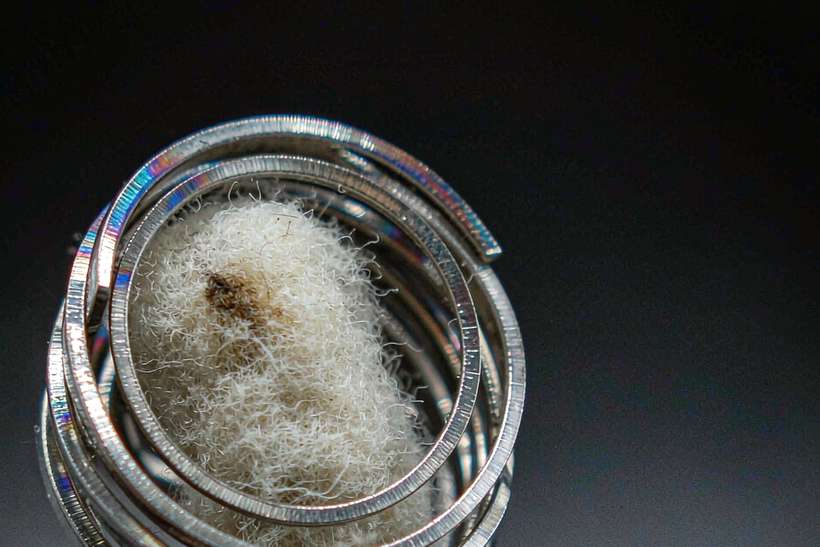 Glossary of Vapowanie pods — limited batch