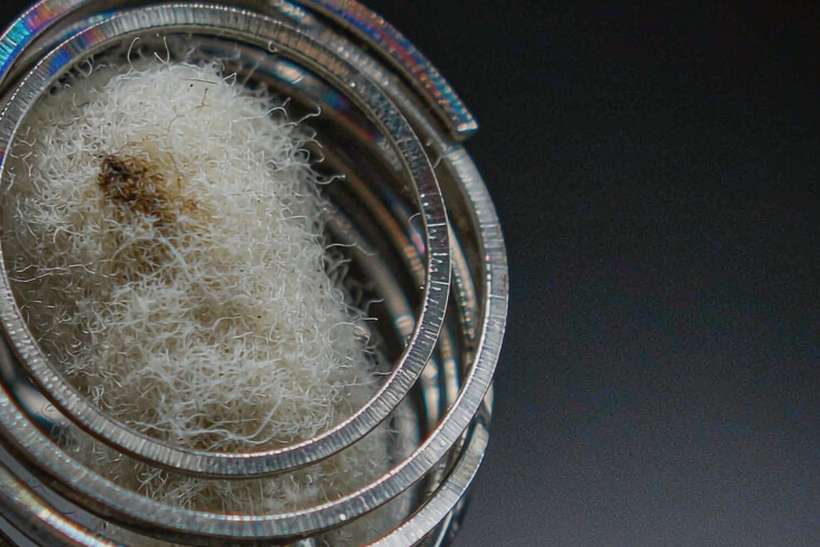 How to Store Vapowanie hardware — Spring catalog