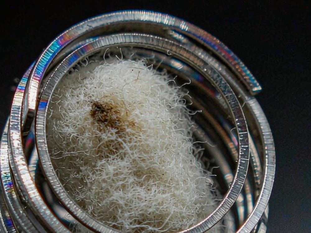 How to Store Vapowanie in Lima — bulk case