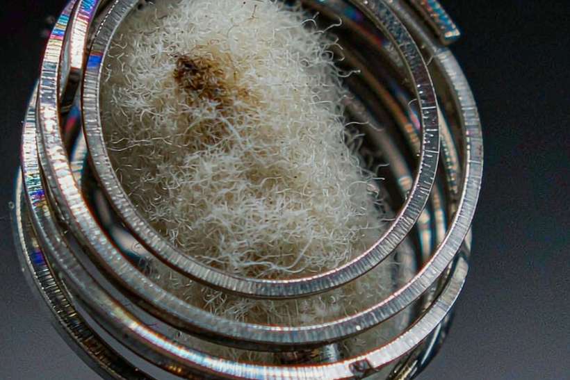 MOQ and Lead Time for Vapowanie bundles — ODM ready