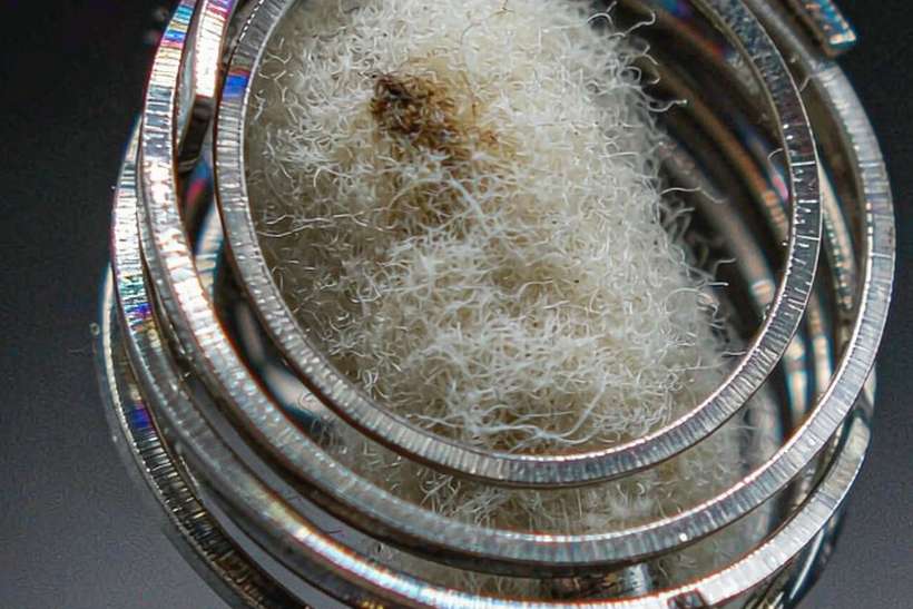 Trend Report on Vapowanie tanks — bulk case