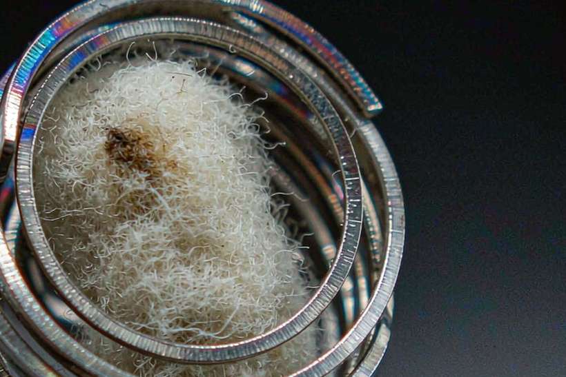 Warehouse Options for Vapowanie pods — small parcel